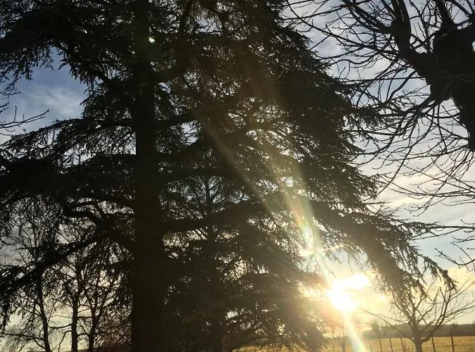 Pensión Et Table D'hotes Le Cedre Aveyron 3*