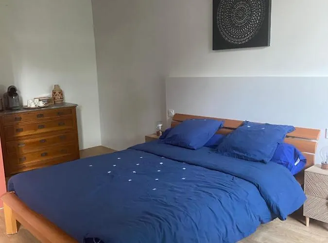 Et Table D'hotes Le Cedre Aveyron Pensión Sainte-Croix (Aveyron)