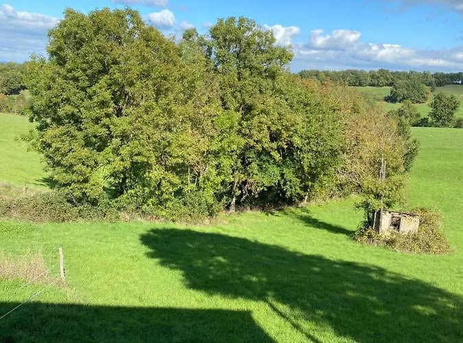 Pensión Et Table D'hotes Le Cedre Aveyron